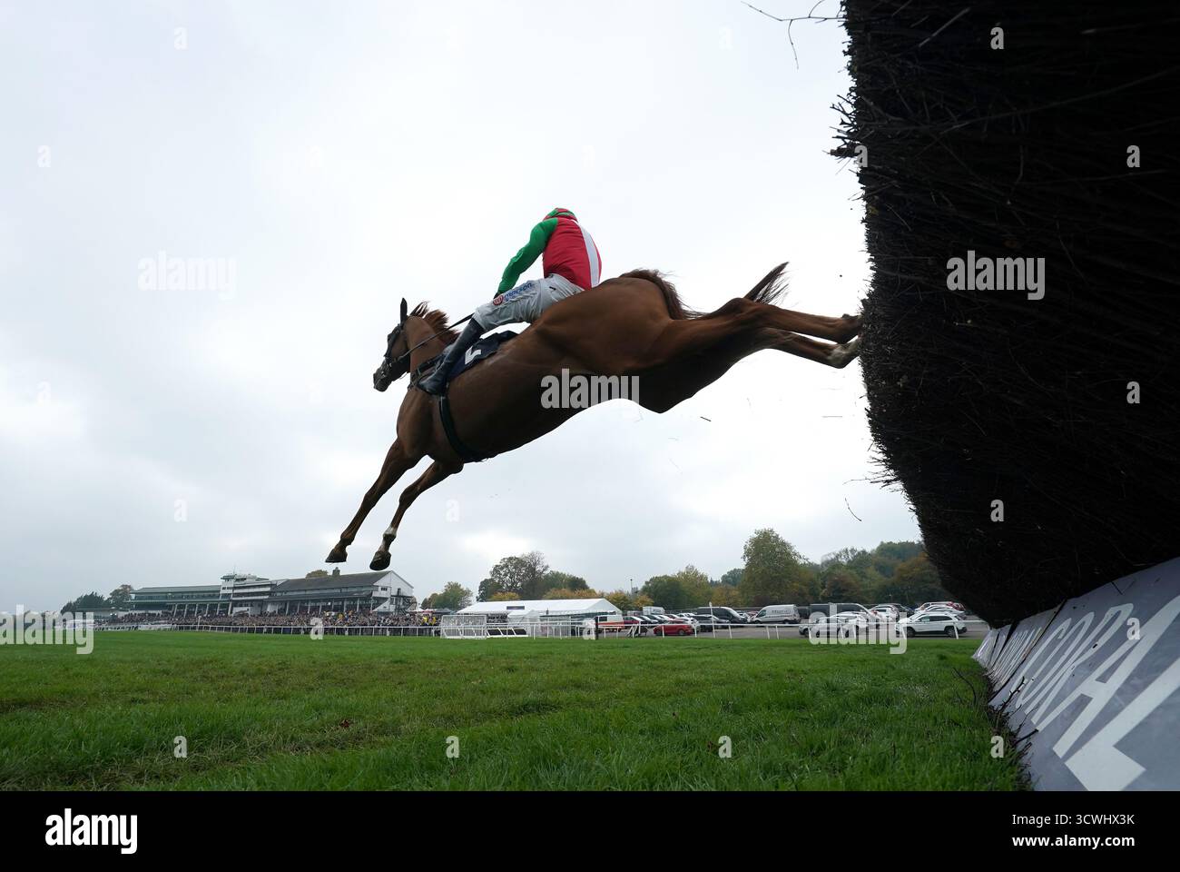 Doyen Quest monté par Harry Skelton sur leur chemin pour se classer deuxième dans la course des novices Tom Malone Bloodstock lors du Dragonbet Welsh Racing Festival à l'hippodrome de Chepstow. Date de la photo : dimanche 12 octobre 2025. Banque D'Images