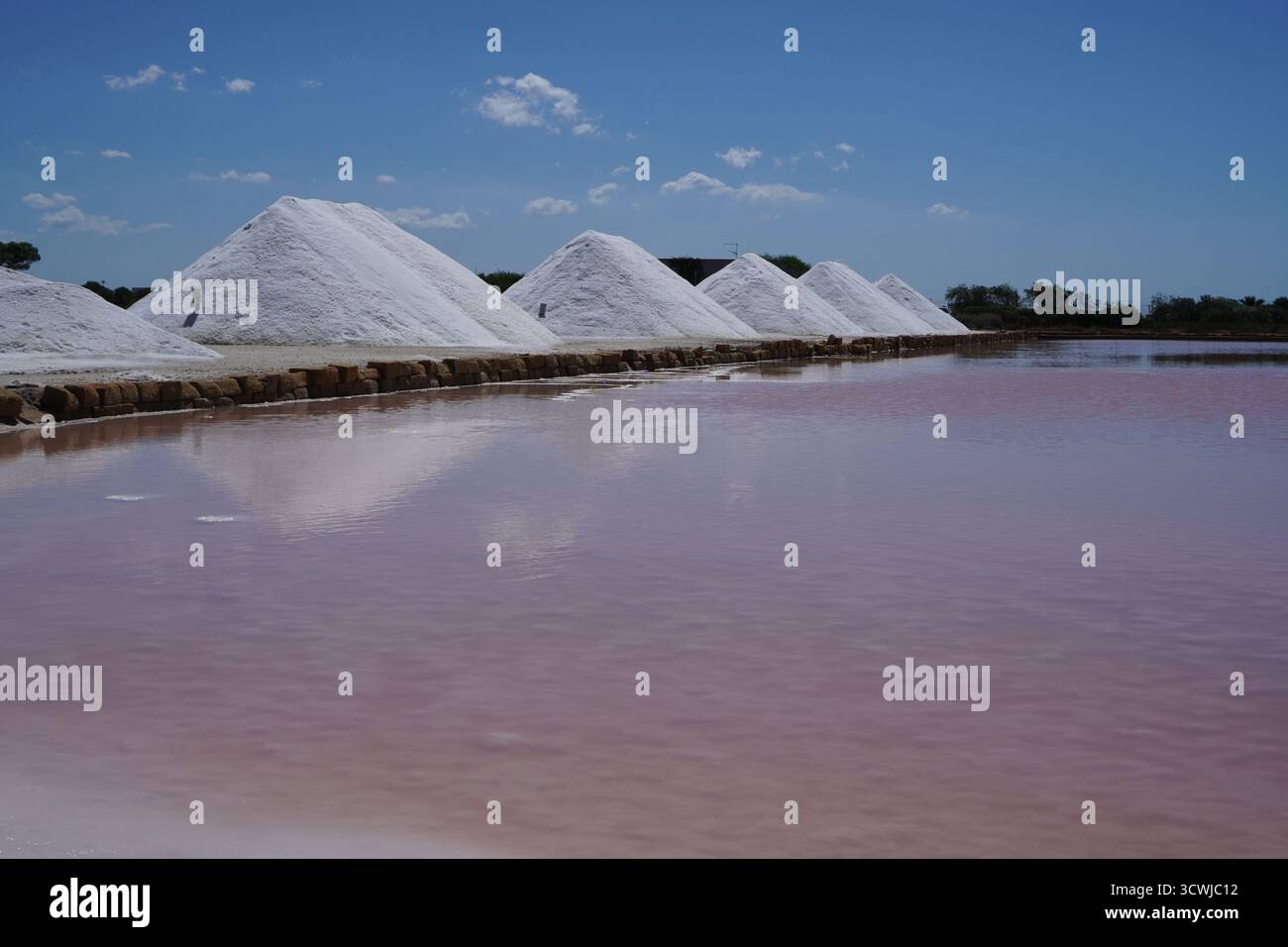 Salines de Trapani en Sicile, Italie, avec des tas de sel blanc avec de l'eau rose. Paysage traditionnel de récolte de sel près de la côte. Banque D'Images
