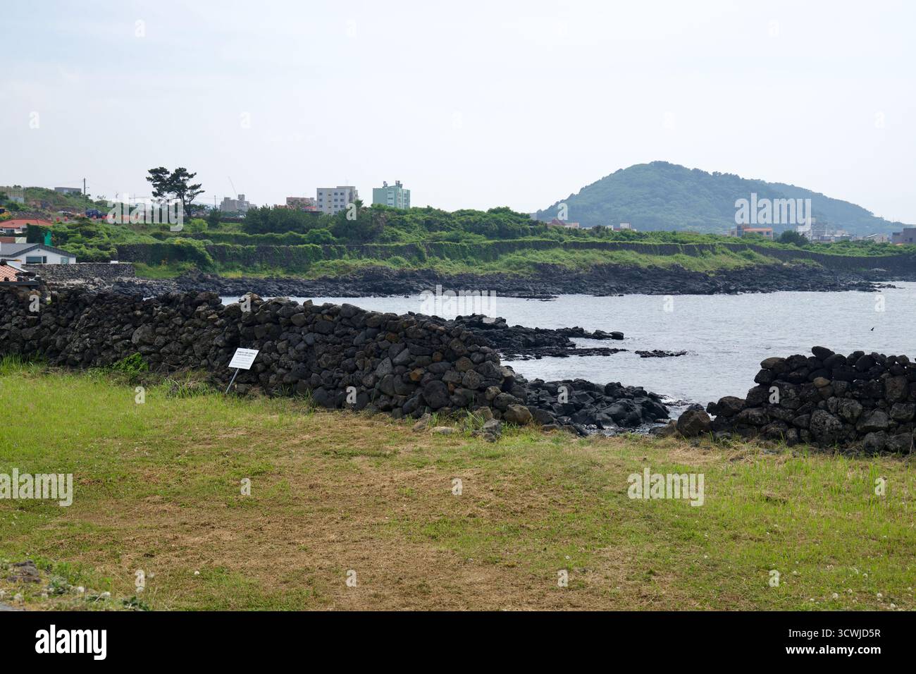 Des murs de champs de basalte et des corniches de roche noire bordent la côte de Samyang avec Sarabong s'élevant au-delà d'une digue verte, vue à travers les eaux côtières calmes. Banque D'Images