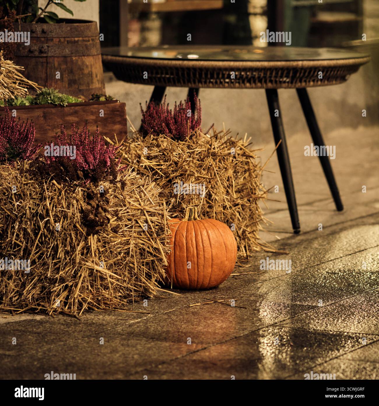 Décoration d'automne avec citrouille, balles de paille et fleurs de bruyère à l'extérieur du café après la pluie Banque D'Images
