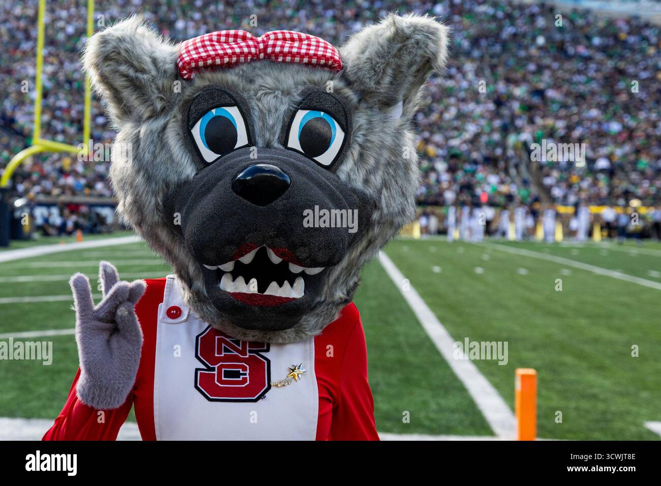 11 octobre 2025 : mascotte de l'État de Caroline du Nord lors d'un match de football NCAA entre le Wolfpack de l'État de Caroline du Nord et les notre Dame Fighting Irish au notre Dame Stadium de South Bend, Indiana. John Mersits/CSM/SIPA USA (crédit image : © John Mersits/Cal Sport Media/SIPA USA) crédit : Sipa US/Alamy Live News Banque D'Images