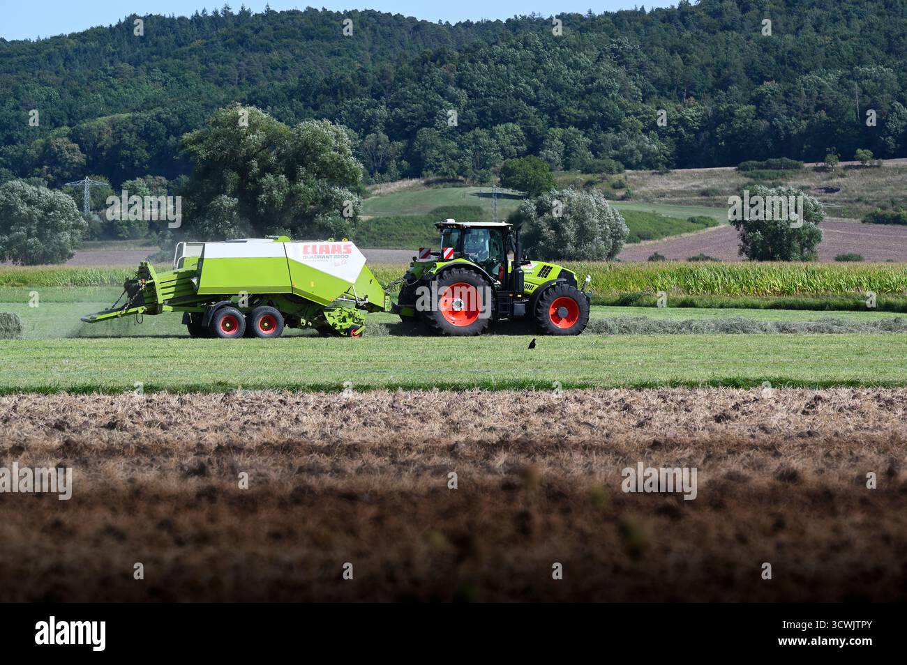Un tracteur équipé d'une ramasseuse-presse comprime le foin séché en balles de foin pour alimenter le pré. Banque D'Images