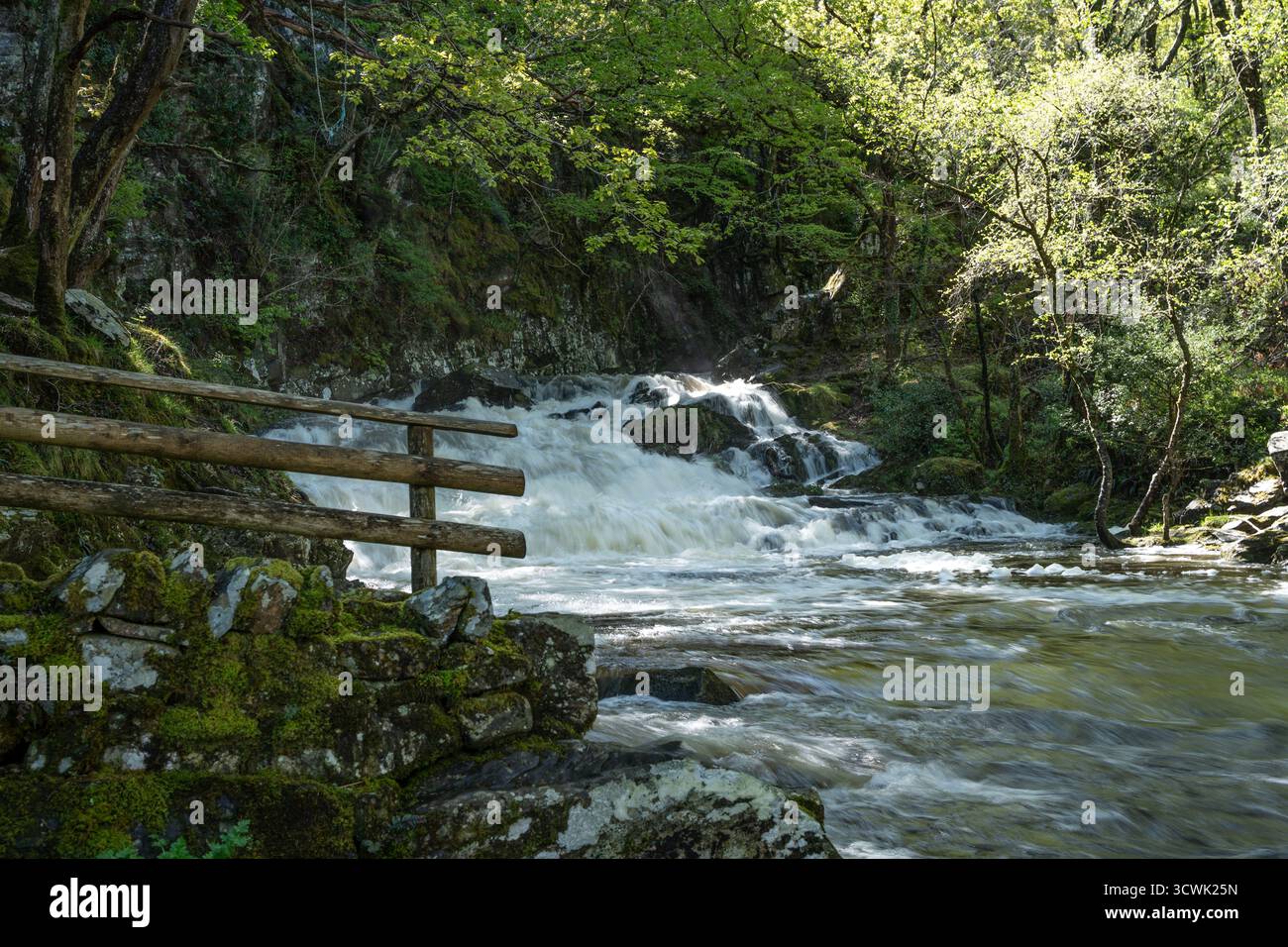 Cascades précipitées à travers une forêt verdoyante avec passerelle en bois dans Lake District Banque D'Images