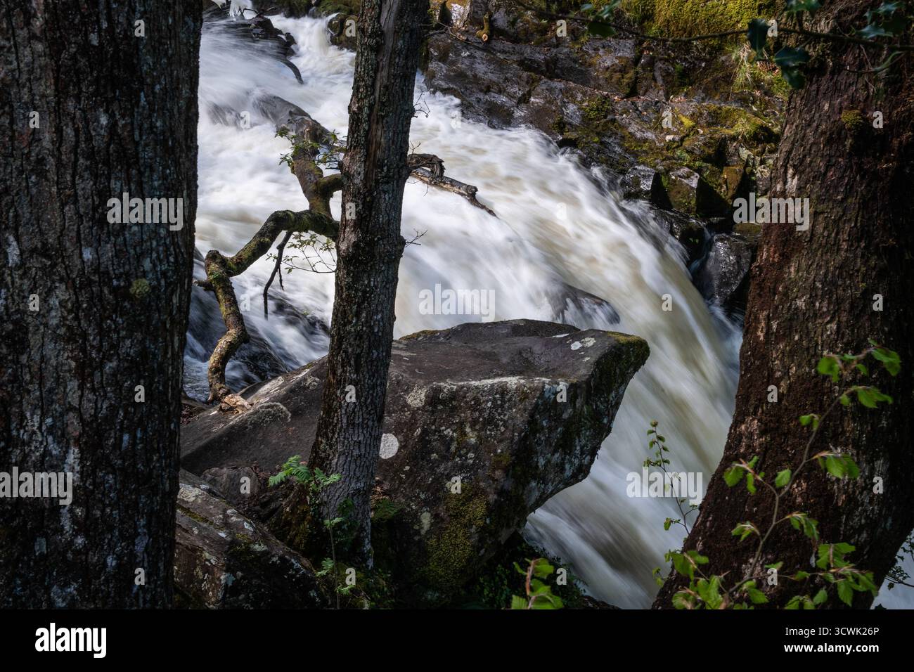 Chute d'eau en cascade à travers des rochers couverts de mousse et des arbres boisés dans le Lake District Banque D'Images