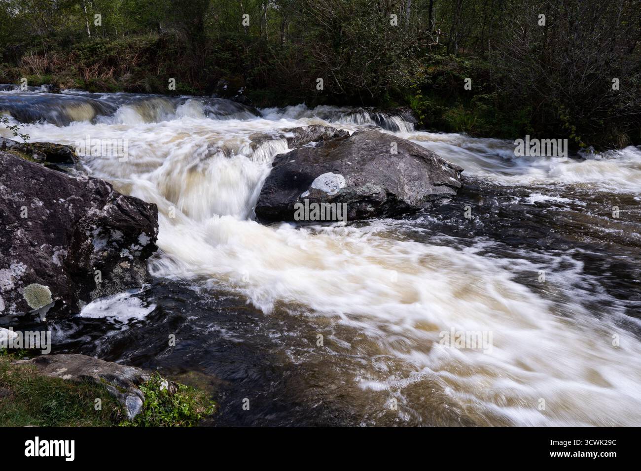 Les eaux ruisselantes de la rivière coulent sur des affleurements rocheux dans les bois du Lake District Banque D'Images