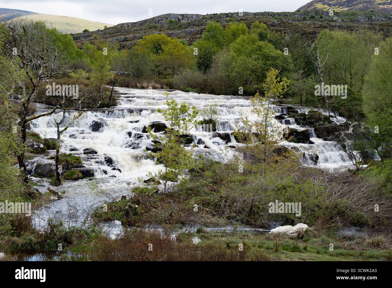 Cascade en cascade à travers un terrain rocheux avec feuillage printanier dans la campagne du Lake District Banque D'Images
