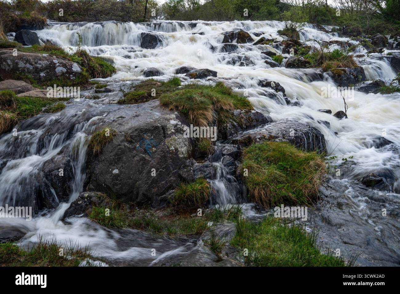 Cascade coulant sur des rochers couverts de mousse dans la campagne du Lake District Banque D'Images