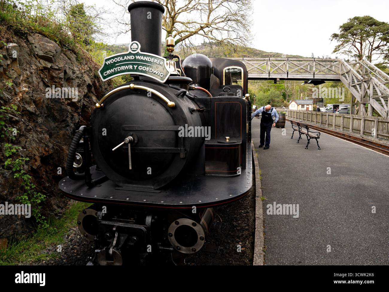 Locomotive à vapeur historique Woodland Wanderer au quai de la gare ferroviaire avec passerelle victorienne Banque D'Images
