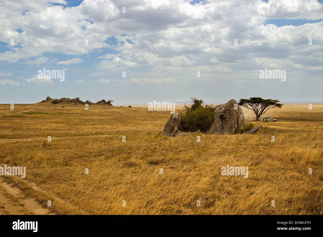 Un véhicule de safari traverse le parc national du Serengeti en Tanzanie, explorant le vaste paysage. Banque D'Images