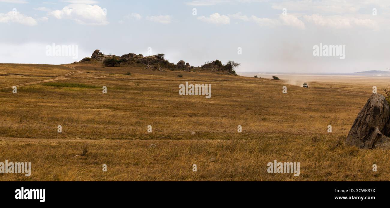 Un véhicule de safari traverse le parc national du Serengeti, en Tanzanie, soulevant la poussière en explorant le vaste paysage. Banque D'Images
