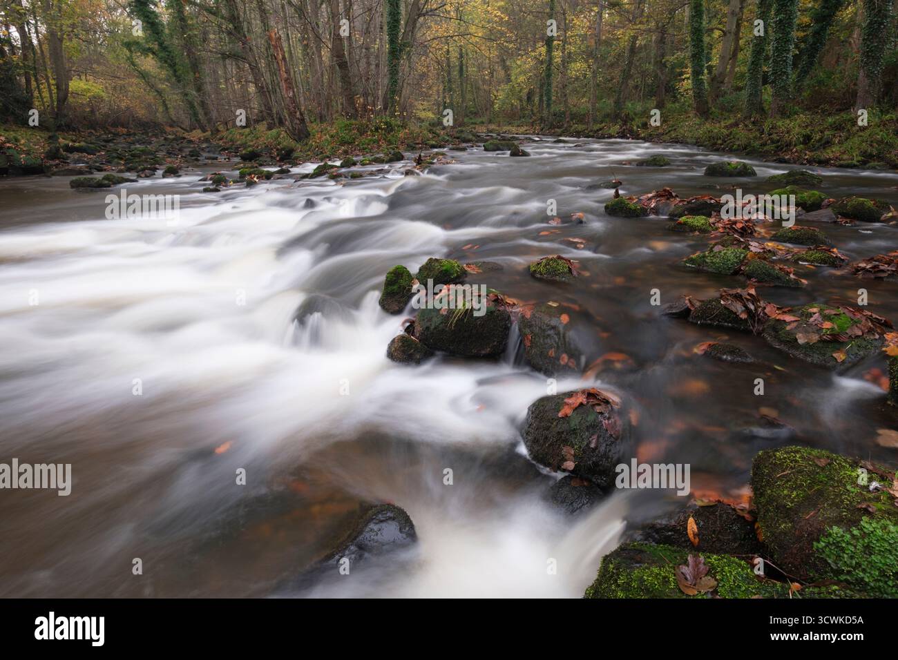 Automne à River Esk, Egton, North York Moors Banque D'Images