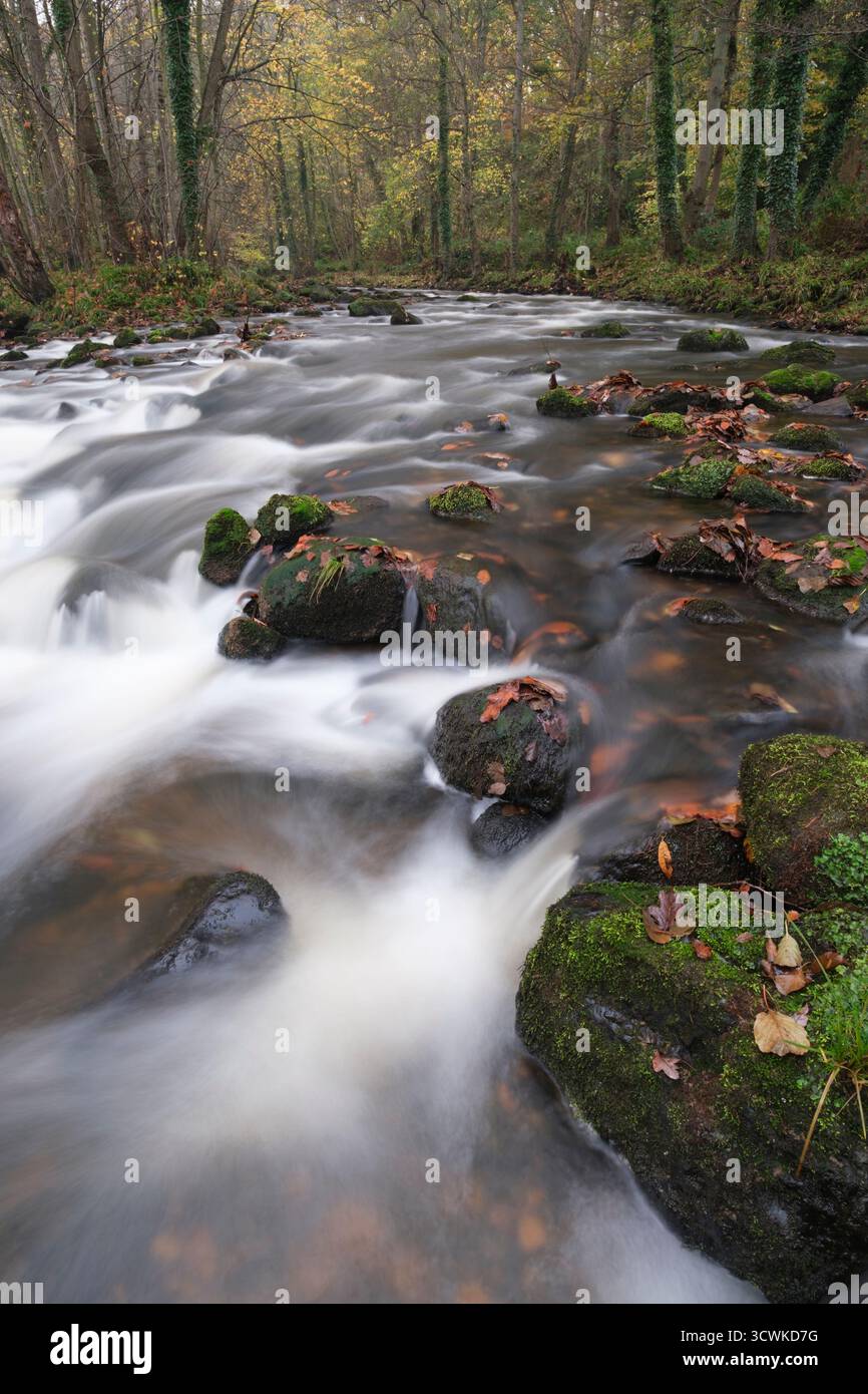 Automne à River Esk, Egton, North York Moors Banque D'Images