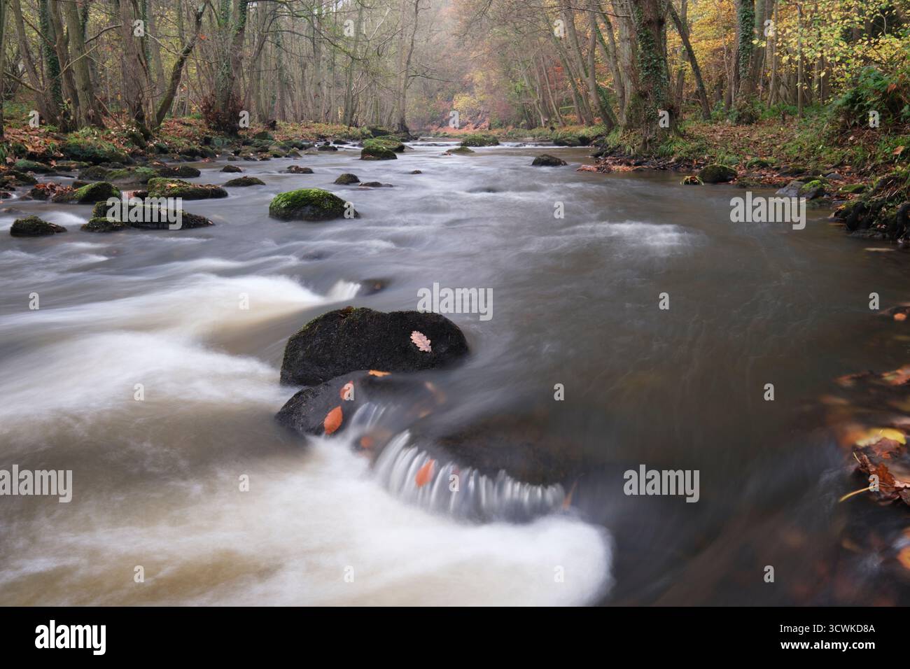 Automne à River Esk, Egton, North York Moors Banque D'Images