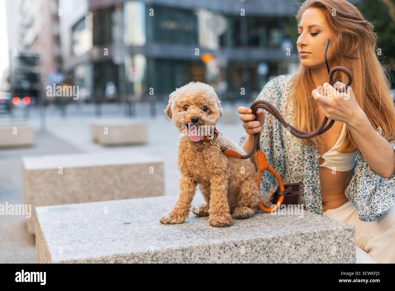 Chien heureux assis avec le propriétaire dans un cadre urbain. Mode animal de compagnie, moments amusants et mode de vie en plein air avec des compagnons à fourrure. Banque D'Images