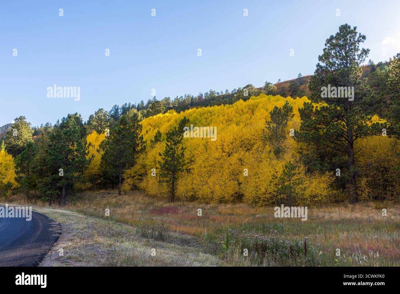 Paysage de feuillage d'automne pittoresque le long de la Highway of Legends National Scenic Byway, allant de Walsenburg à Trinidad dans le Colorado Banque D'Images