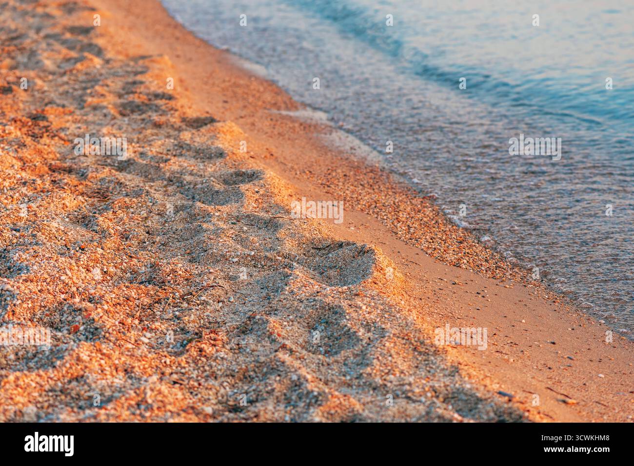 Empreintes de pas dans le sable le long d'une plage tranquille à l'heure dorée. Des vagues douces lavent doucement le rivage, la lumière chaude du soleil projette de longues ombres sur le san texturé Banque D'Images