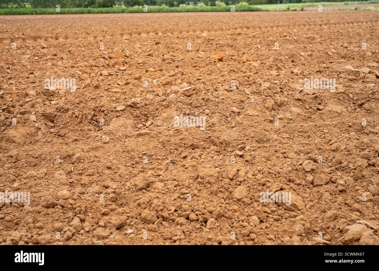 Champ agricole avec saleté labourée après la saison de récolte. Paysage agricole rural préparé pour la plantation de cultures pour soutenir l'agriculture durable et Banque D'Images