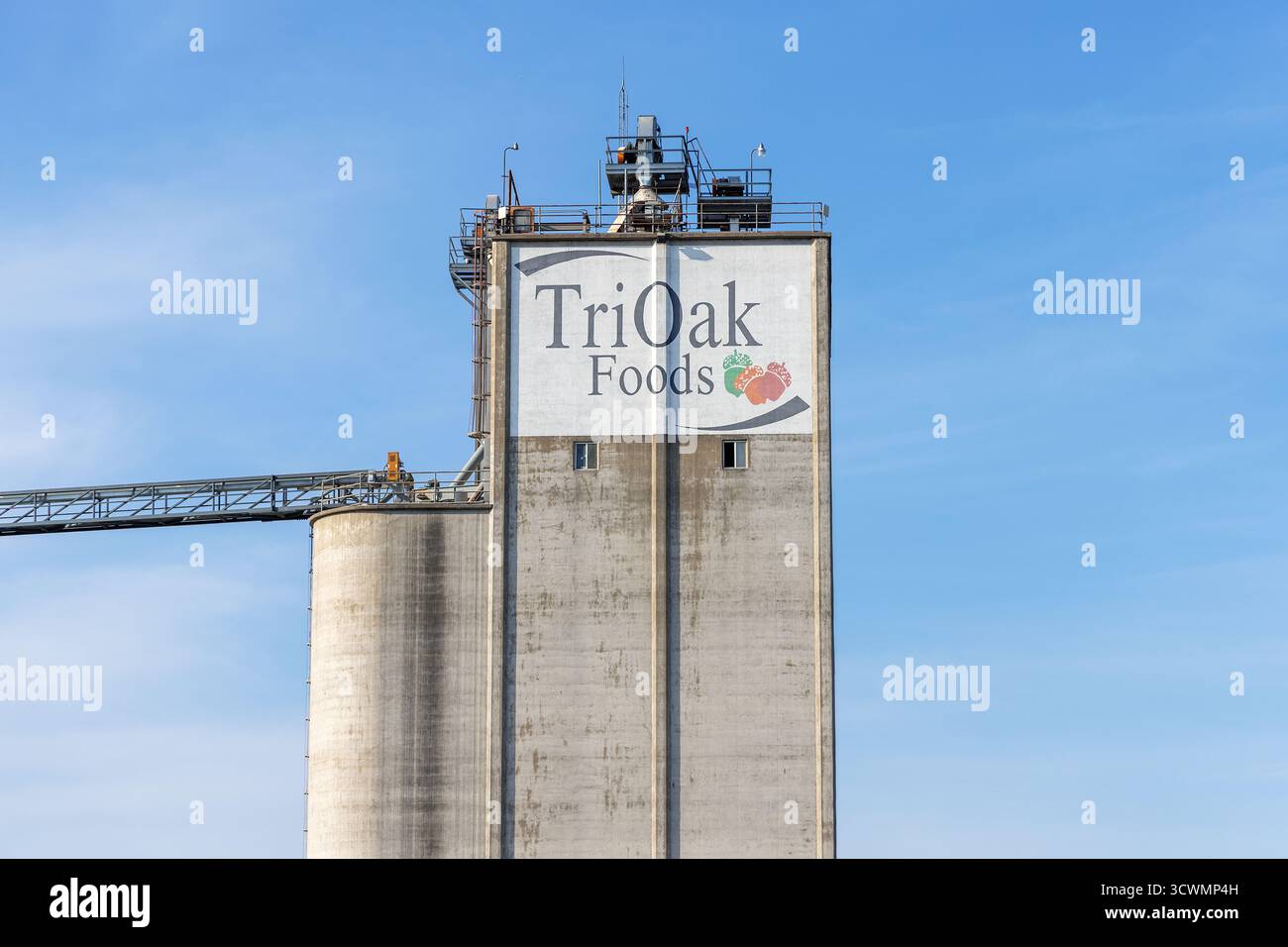 Un silo de stockage de béton à l'élévateur à grains JBS Foods, anciennement TriOak, à Oakville, Iowa, États-Unis Banque D'Images