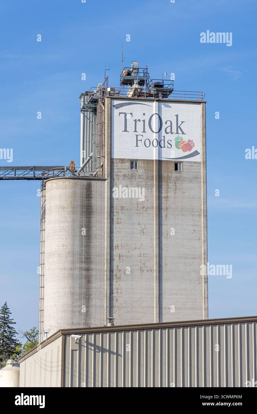 Un silo de stockage de béton à l'élévateur à grains JBS Foods, anciennement TriOak, à Oakville, Iowa, États-Unis Banque D'Images
