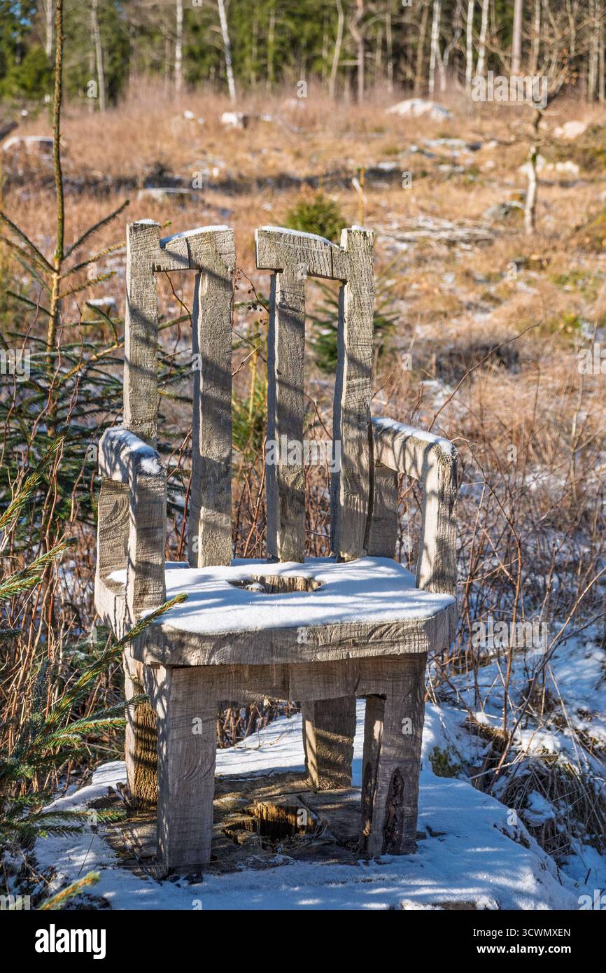 Chaise sculptée dans une souche d'arbre dans une forêt Banque D'Images