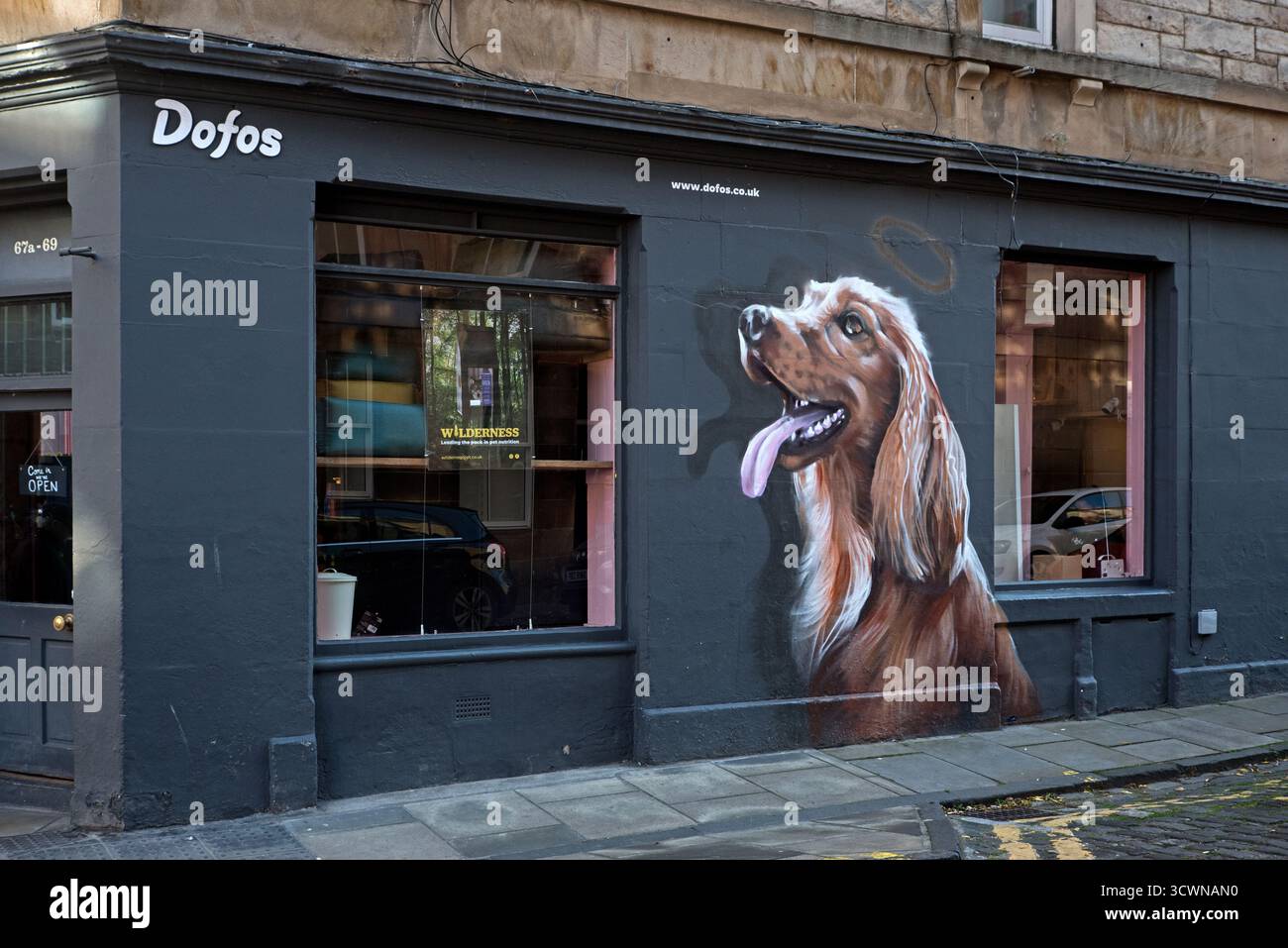 Peinture d'un chien retriever sur le mur d'un magasin d'aliments pour animaux Dofos à Stockbridge, Édimbourg, Écosse, Royaume-Uni. Banque D'Images