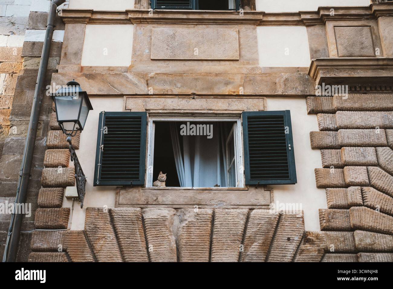 Un chat est assis attentivement sur le rebord de la fenêtre d'un bâtiment historique avec volets ouverts. Les briques et les détails architecturaux rehaussent le chara intemporel Banque D'Images