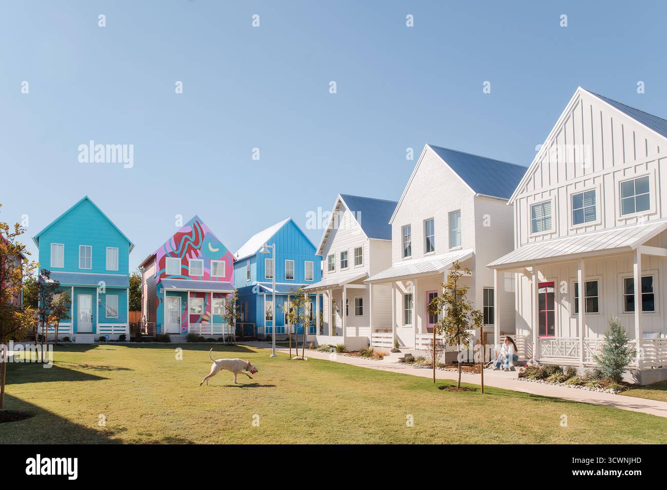 Les maisons modernes colorées bordent une cour ensoleillée avec un chien courant à travers. Banque D'Images