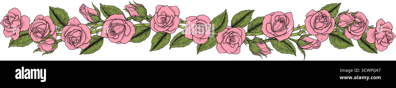 Rose Flower illustration Vintage Border Band Illustration de Vecteur