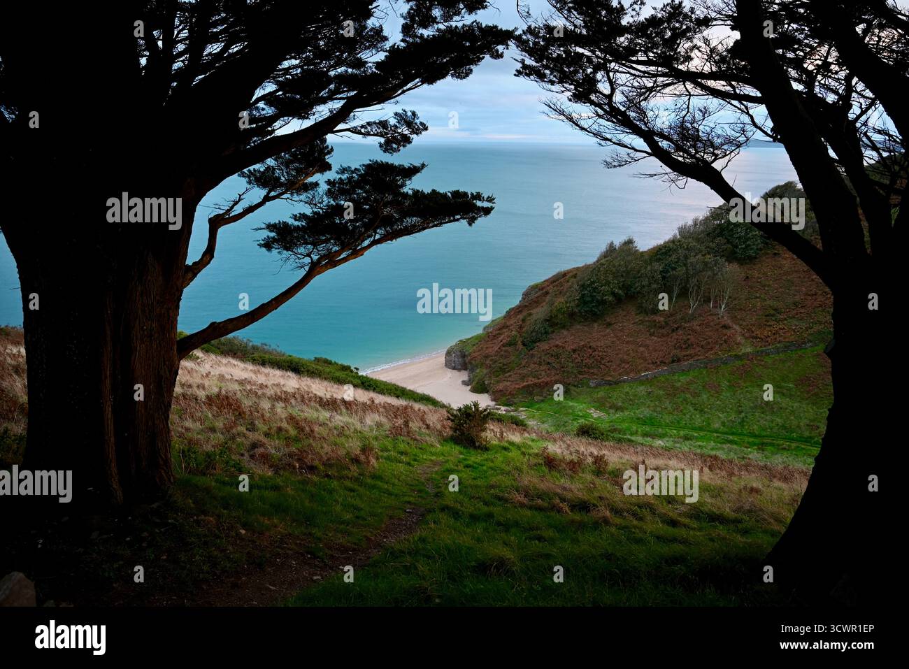 une petite plage de sable cachée près de strete dans le devon angleterre royaume-uni Banque D'Images