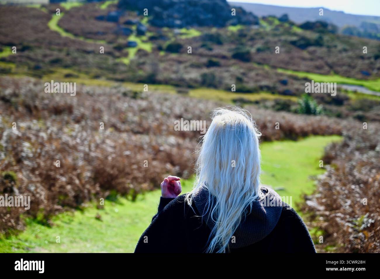 sur dartmoor devon avec un chien de loup une femme blonde marchant randonneurs glace van poney vache roches mur de pierre sèche un insecte et une journée ensoleillée Banque D'Images