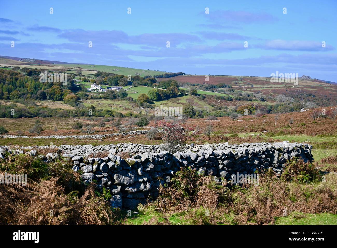 sur dartmoor devon avec un chien de loup une femme blonde marchant randonneurs glace van poney vache roches mur de pierre sèche un insecte et une journée ensoleillée Banque D'Images