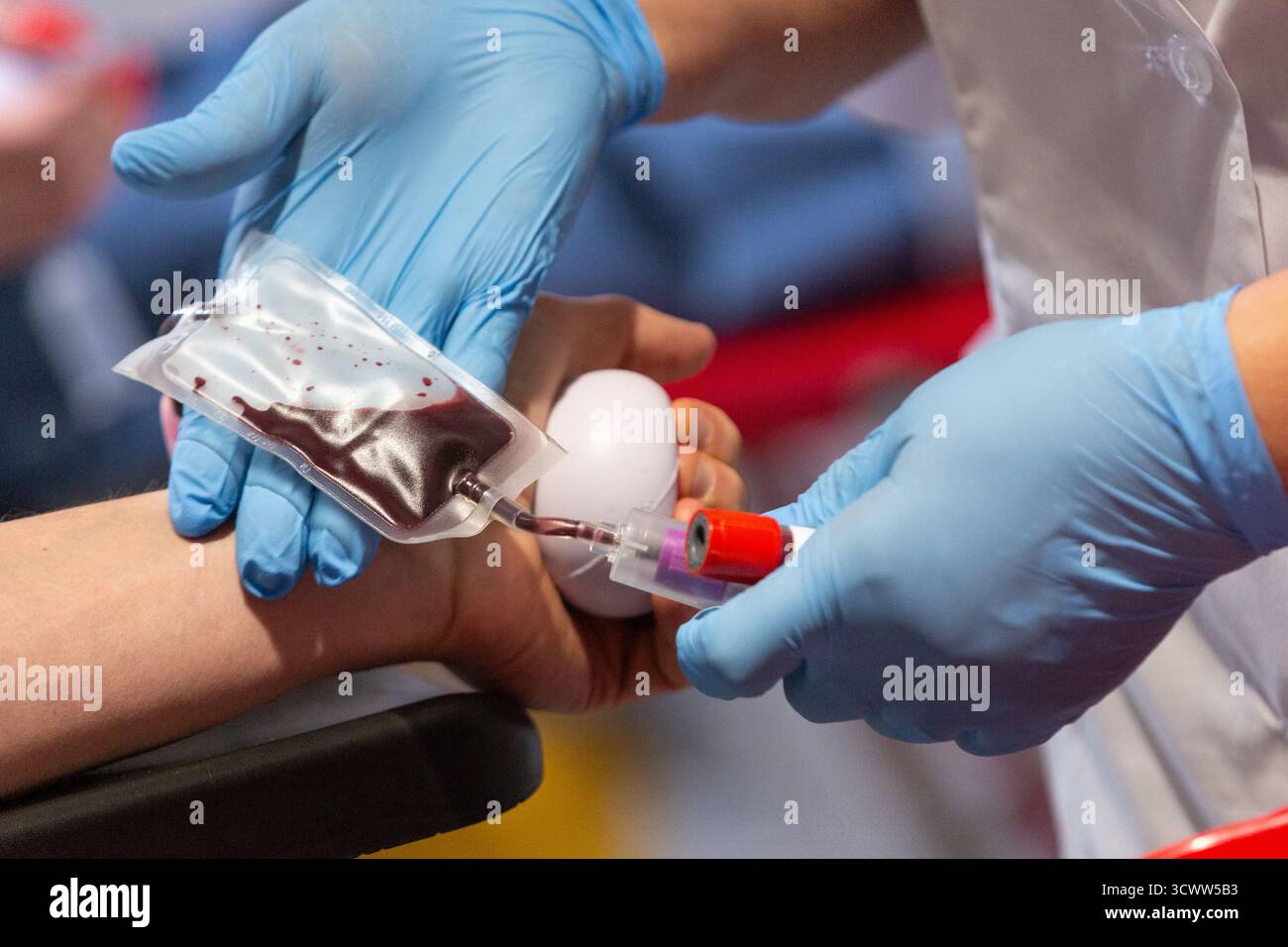 Thérapeute qualifié reliant le système de transfusion sanguine à un donneur. Soins de santé et concept de transfusion sanguine Banque D'Images