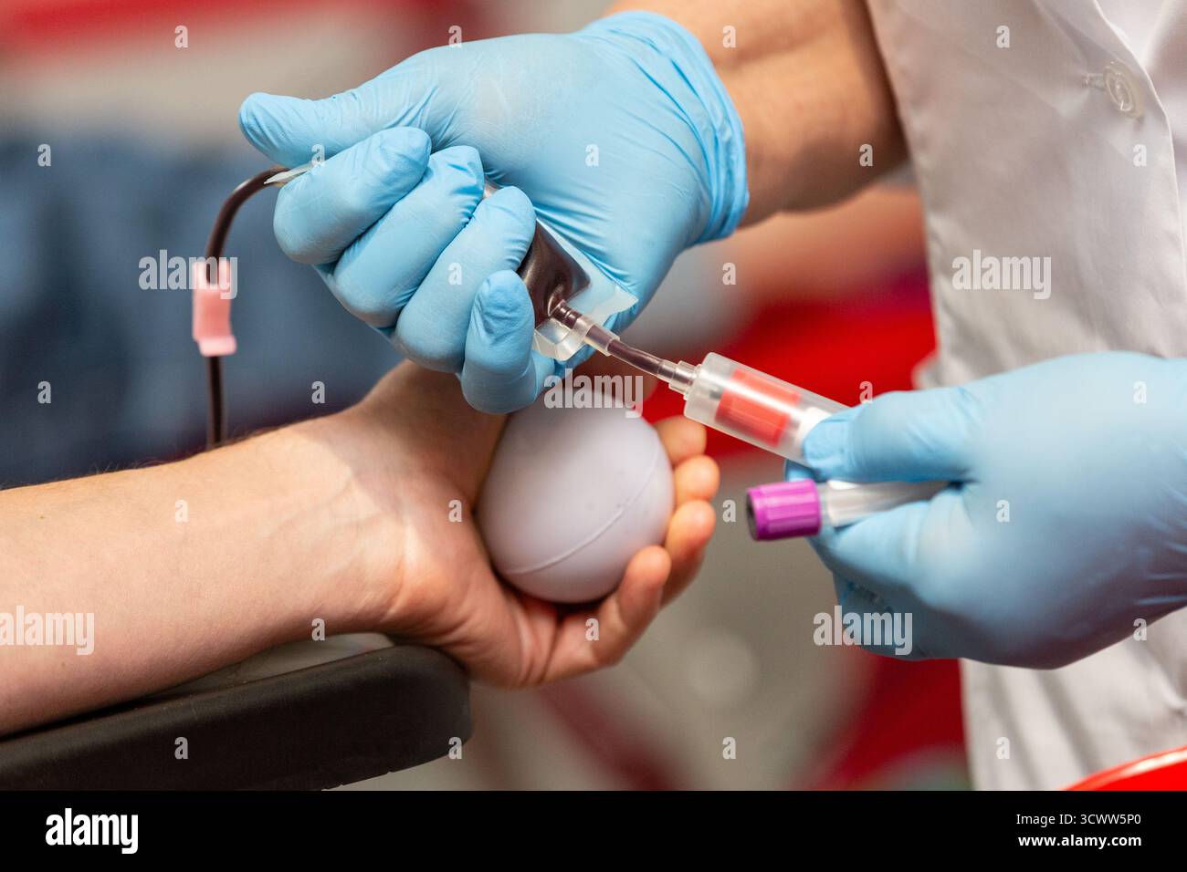 Thérapeute qualifié reliant le système de transfusion sanguine à un donneur. Soins de santé et concept de transfusion sanguine Banque D'Images