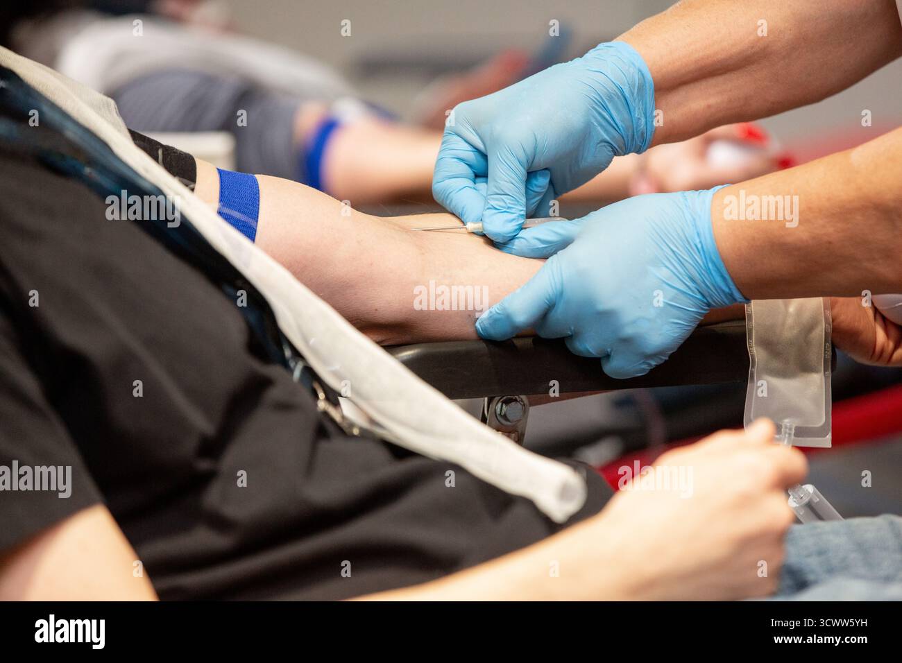 Thérapeute insérant une aiguille dans une veine de donneur pendant la procédure de transfusion sanguine. Soins de santé et concept de transfusion sanguine Banque D'Images