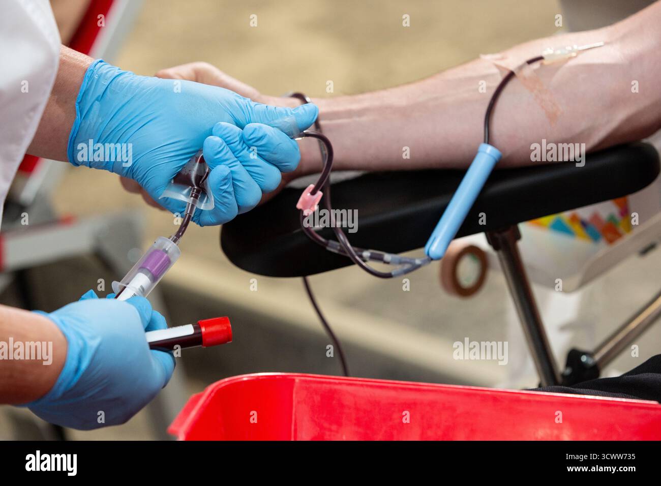 Thérapeute qualifié reliant le système de transfusion sanguine à un donneur. Banque D'Images