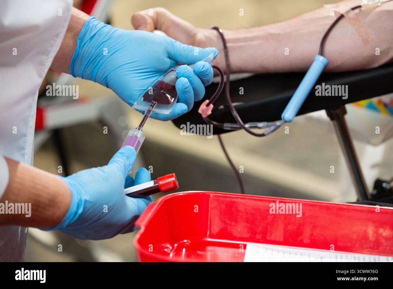 Thérapeute qualifié reliant le système de transfusion sanguine à un donneur. Banque D'Images