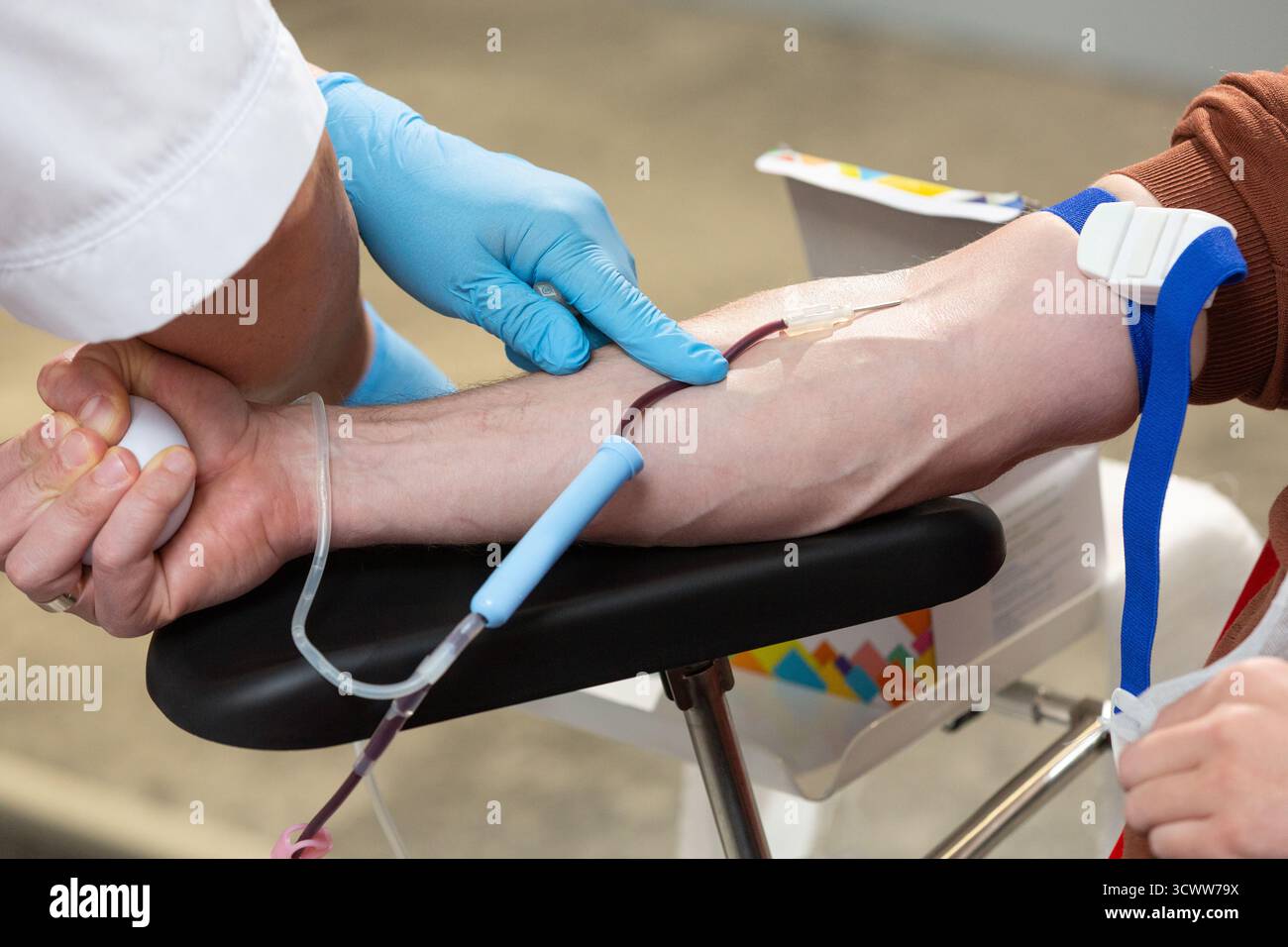 Thérapeute qualifié reliant le système de transfusion sanguine à un donneur. Banque D'Images
