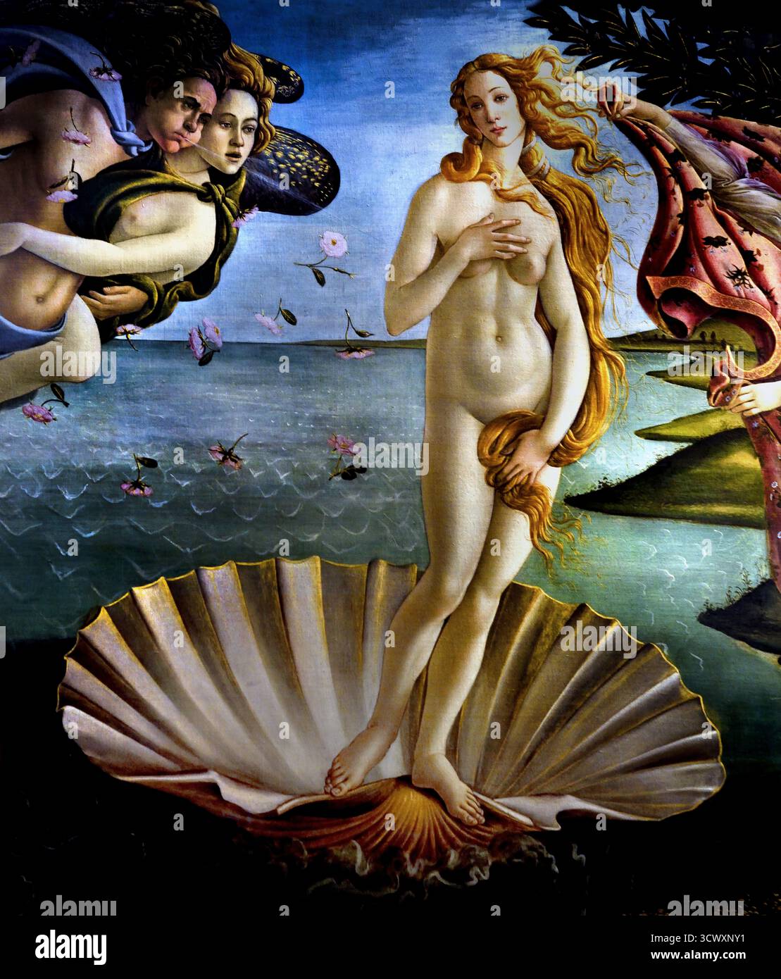 La Naissance de Vénus de Sandro Botticelli 1485 ( Alessandro di Mariano Filipepi ) Florence 1445-1510 peintre italien du début de la renaissance de l'école florentine. Banque D'Images