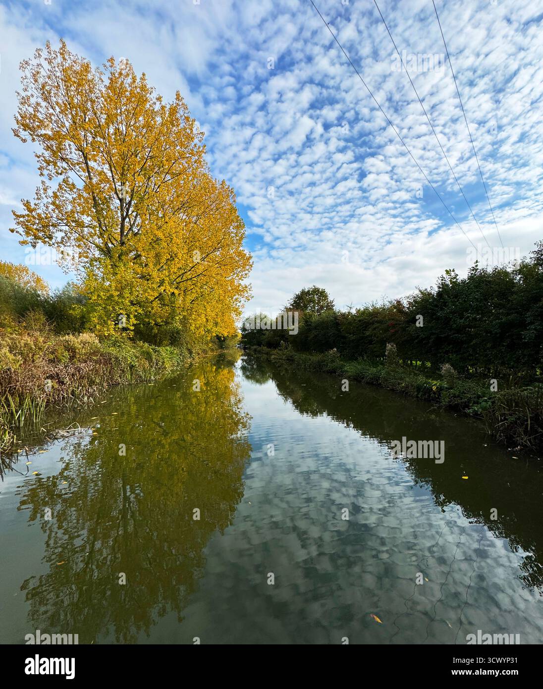 Automne le long du canal Kennet et Avon près de Hungerford dans le Berkshire. Banque D'Images