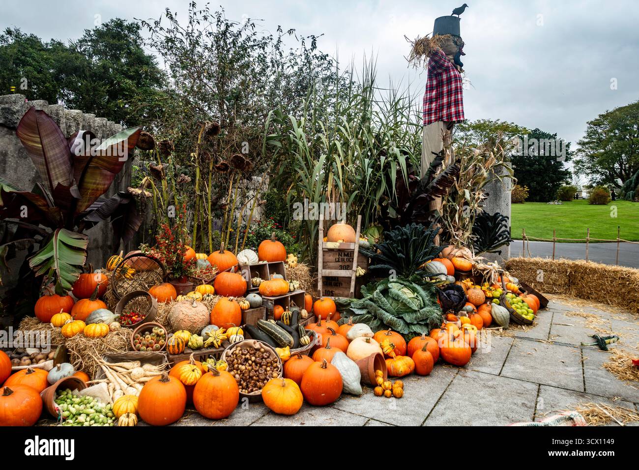 Exposition d'Halloween avec citrouilles, gourdes, légumes et épouvantail au National Botanic Gardens, Dublin, Irlande, célébrant l'automne et la récolte Banque D'Images