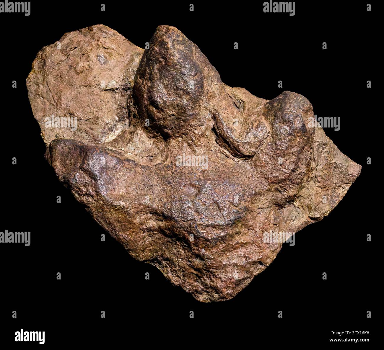 Empreinte de dinosaure (hadrosaure), 95 millions d'années, ère mésozoïque, comté de Bent, Colorado, États-Unis. Banque D'Images