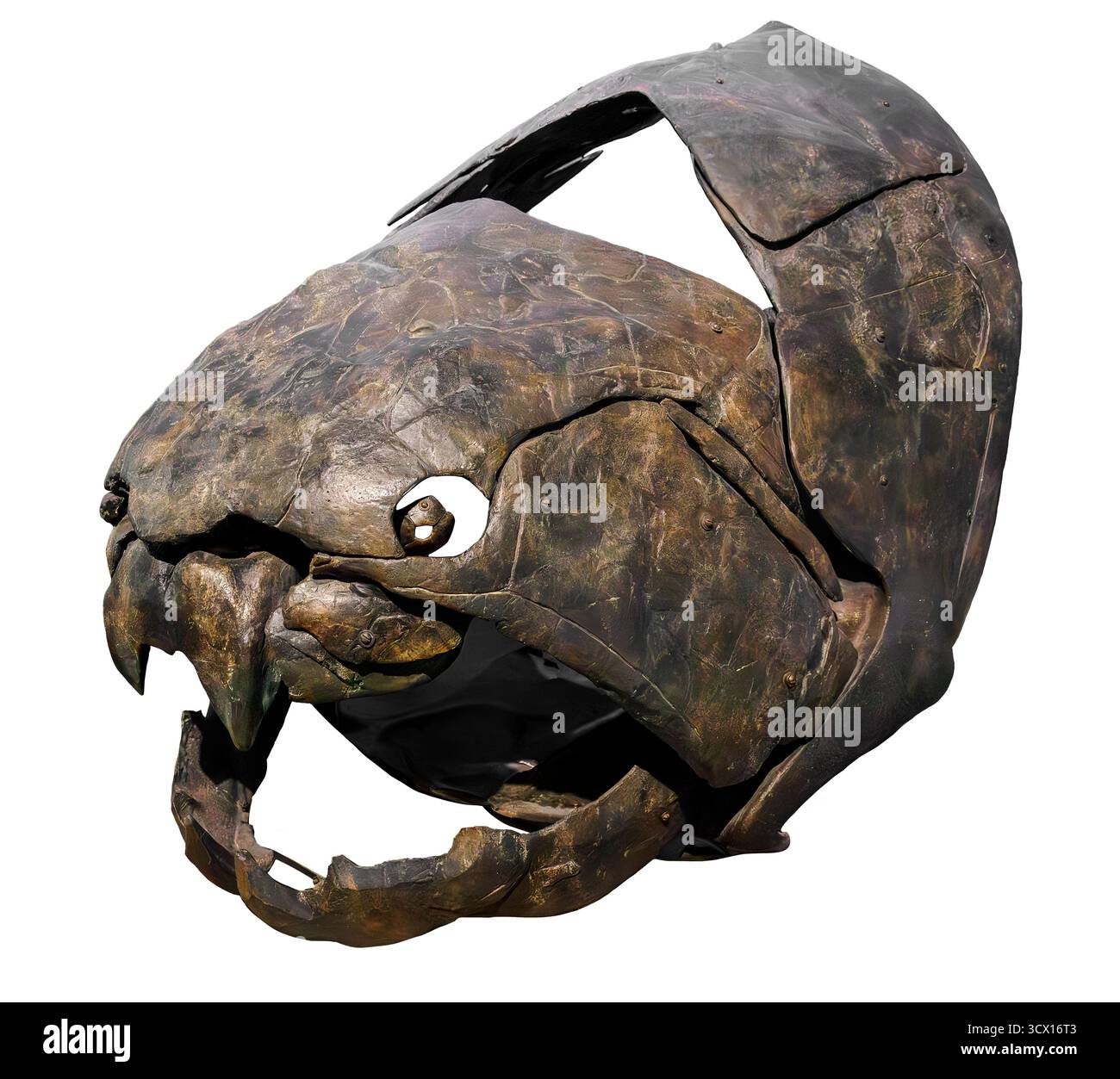 Fonte du crâne de Dunkleosteus (réplique), Dévonien tardif (358–382 millions d'années), poisson placoderme blindé et prédateur apex avec plaques de mâchoire à lames. Banque D'Images