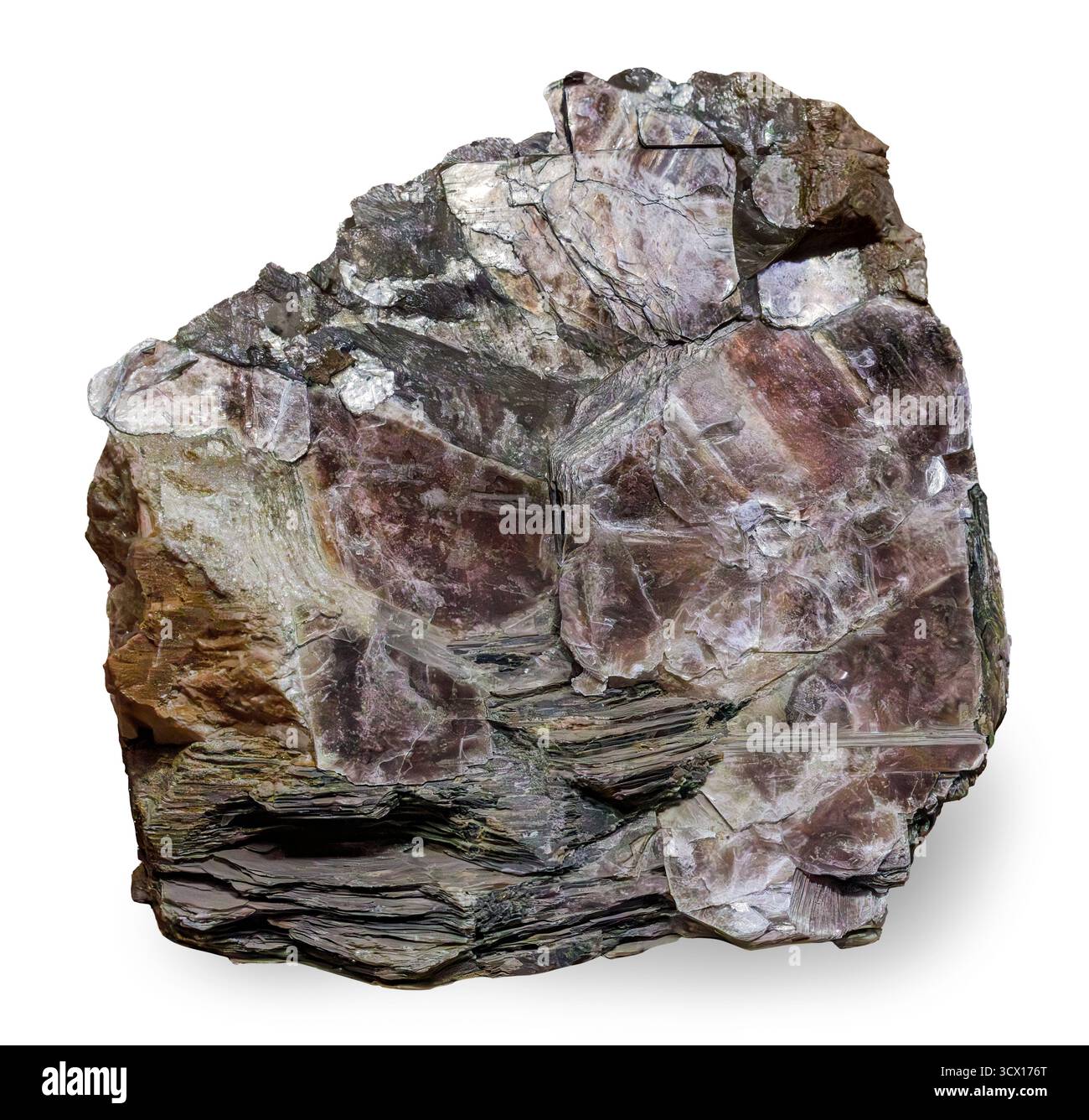 Minéral du groupe mica (KAl₂(AlSi₃O₁₀)(OH)₂), phyllosilicate avec structure en feuille. Banque D'Images