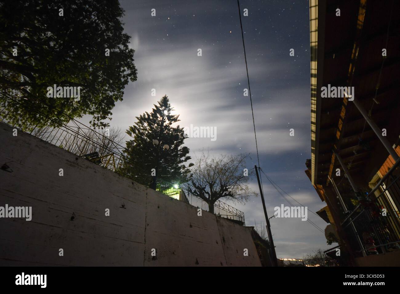Le clair de lune éthérée illumine le ciel nocturne, créant une lueur douce et rêveuse derrière un pin silhouette. Des nuages sinueux dérivent devant des étoiles brillantes dans Thi Banque D'Images