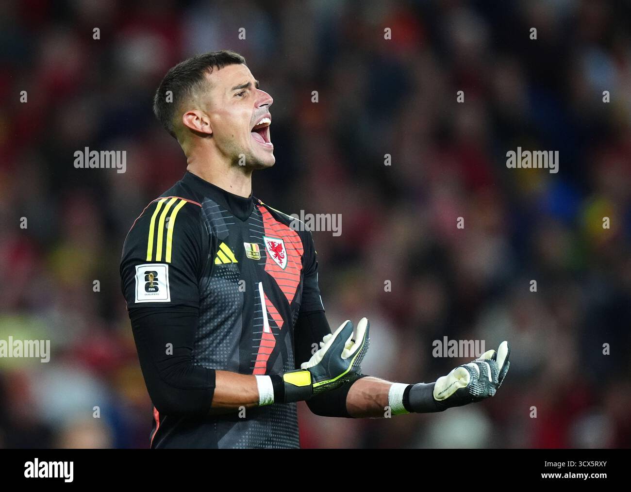 Le gardien de but gallois Karl Darlow lors du match de qualification européen de la Coupe du monde de la FIFA au stade de Cardiff City. Date de la photo : lundi 13 octobre 2025. Banque D'Images