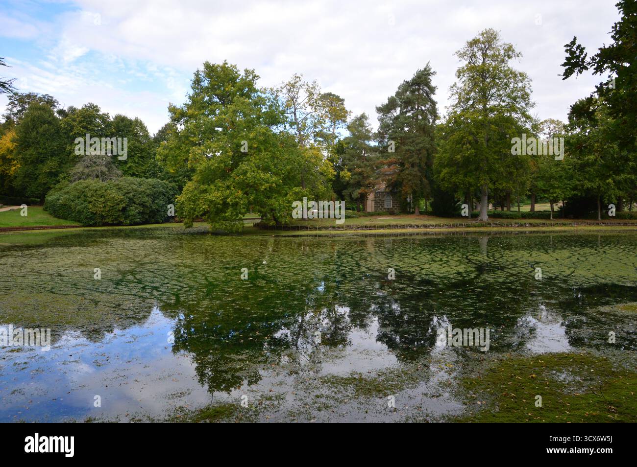 Étang tranquille entouré de verdure luxuriante au Claremont Landscape Garden, Surrey, Angleterre, en septembre. Reflets d'arbres sur l'eau calme. Banque D'Images
