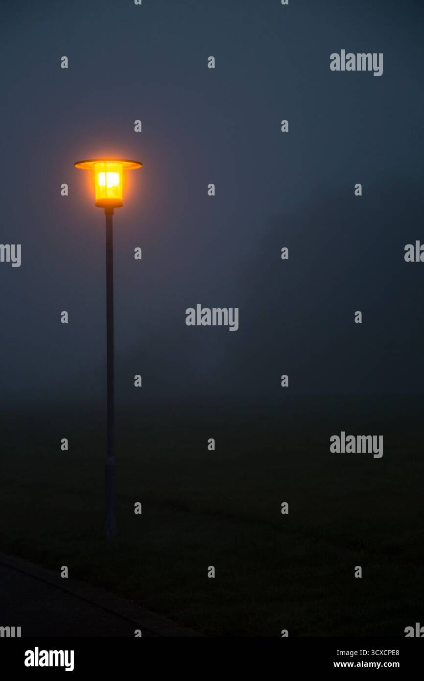 Scène de nuit effrayante de lampadaires à la route sombre et brumeuse, nuit magique avec brouillard et lumières de rue, route de scène sombre Banque D'Images