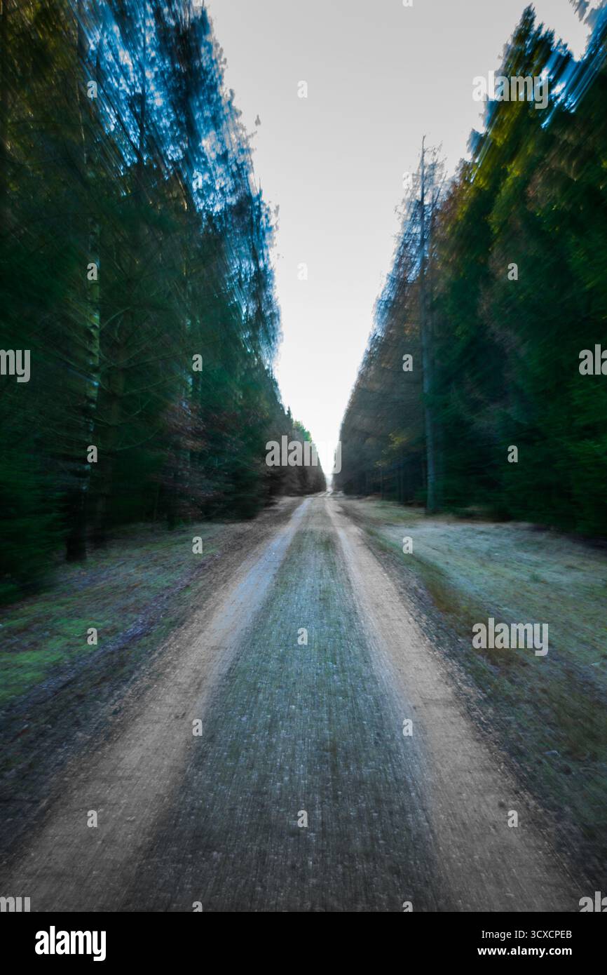 Arrière-plan sombre et sombre abstrait de forêt floue, chemin de forêt cinématique créant un sentiment étrange dans la forêt Banque D'Images