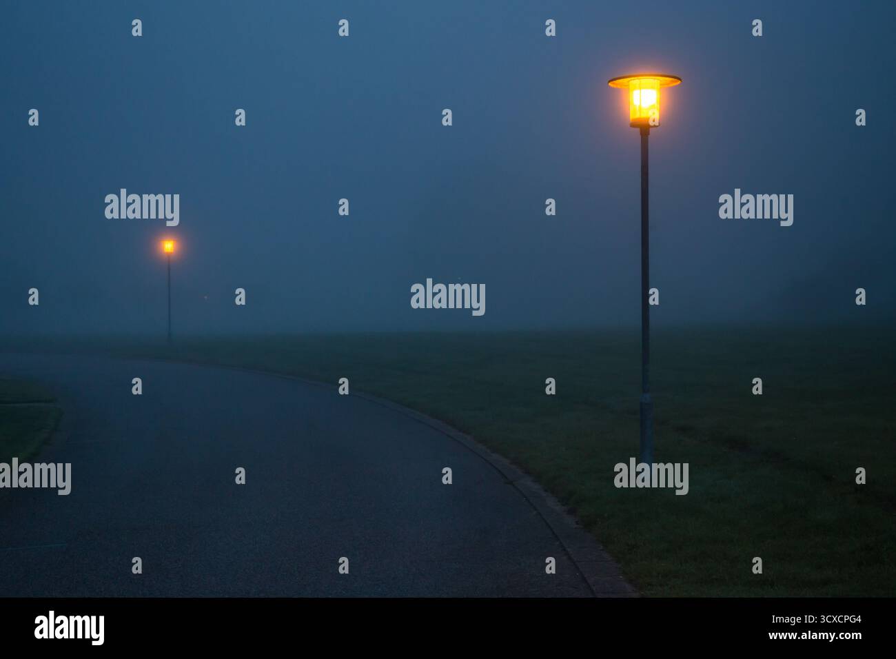 Scène de nuit effrayante de lampadaires à la route sombre et brumeuse, nuit magique avec brouillard et lampadaires, route de scène d'halloween Banque D'Images