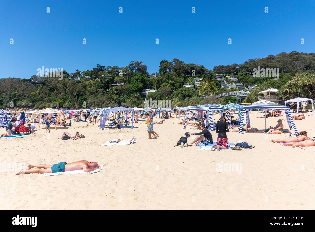 Noosa Heads main Beach, Noosa Heads, Shire of Noosa, Sunshine Coast Region, Queensland, Australie Banque D'Images
